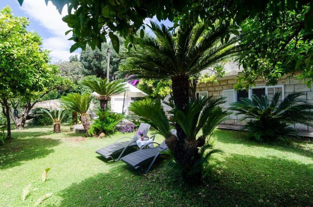 Apartment Stanka Dubrovnik
